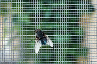 Protect Your Home or Business from Pests!